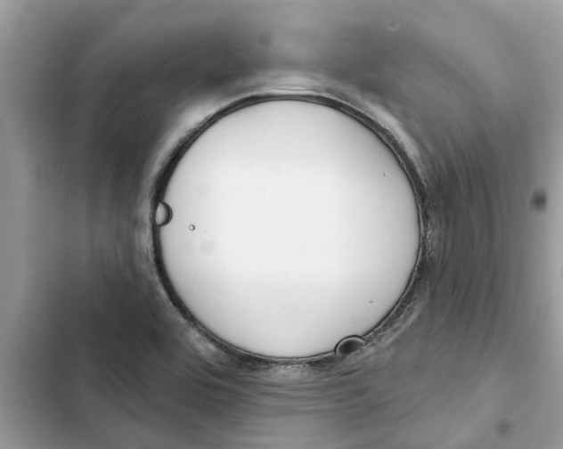 X0000103261464200809191707