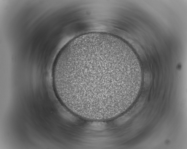 X0000103261466200809191707