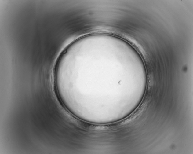 X0000103261467200809191707