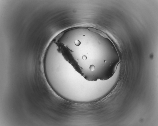 X0000103261468200809191707