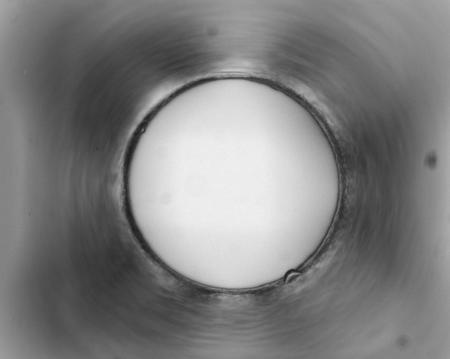 X0000103261469200809191707