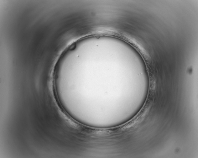 X0000103261471200809191707