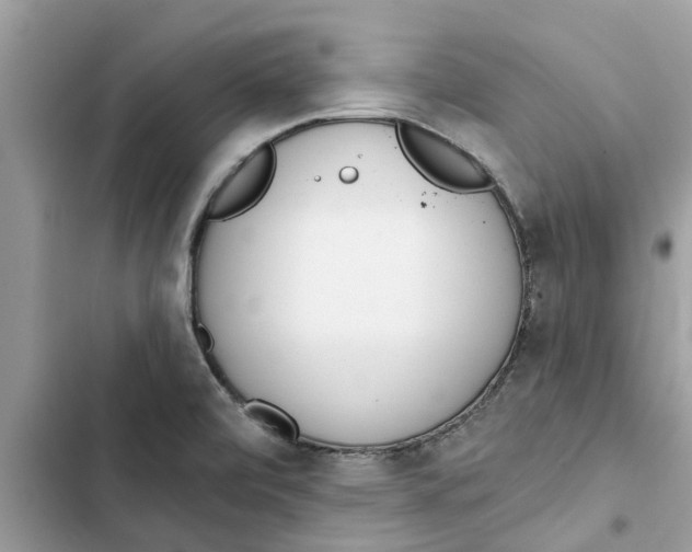 X0000103261472200809191707