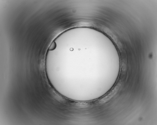 X0000103261473200809191707