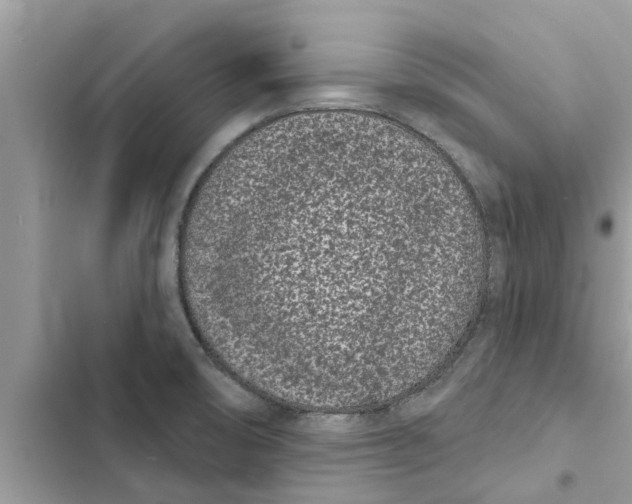 X0000103261474200809191707