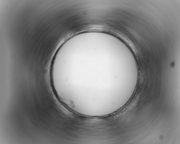 X0000103261475200809191707