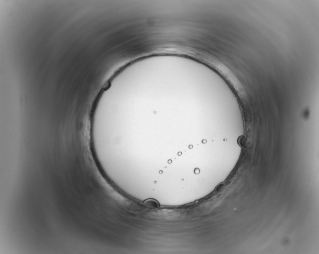 X0000103261476200809191707