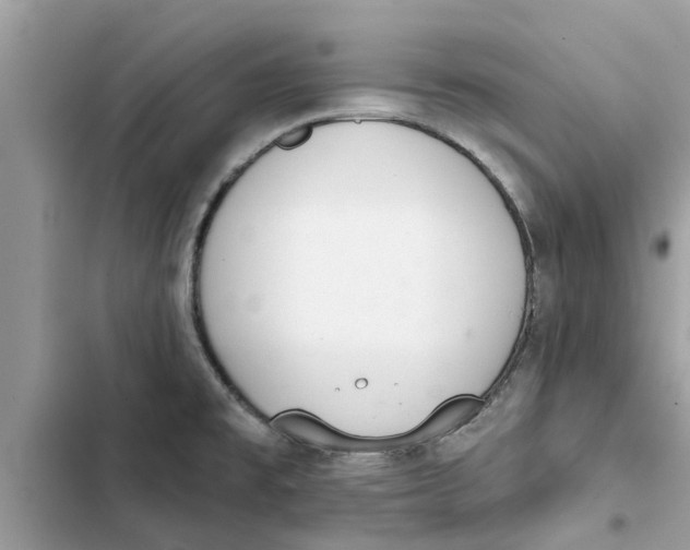 X0000103261477200809191707