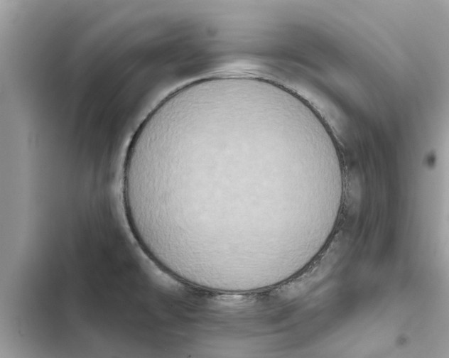 X0000103261478200809191707