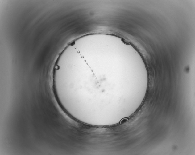 X0000103261479200809191707