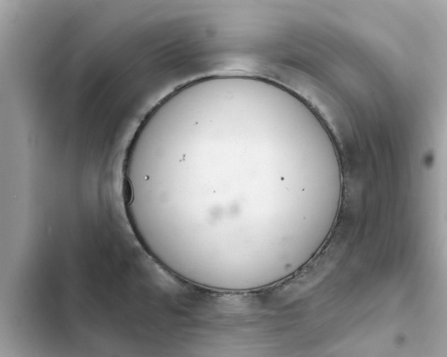 X0000103261480200809191707