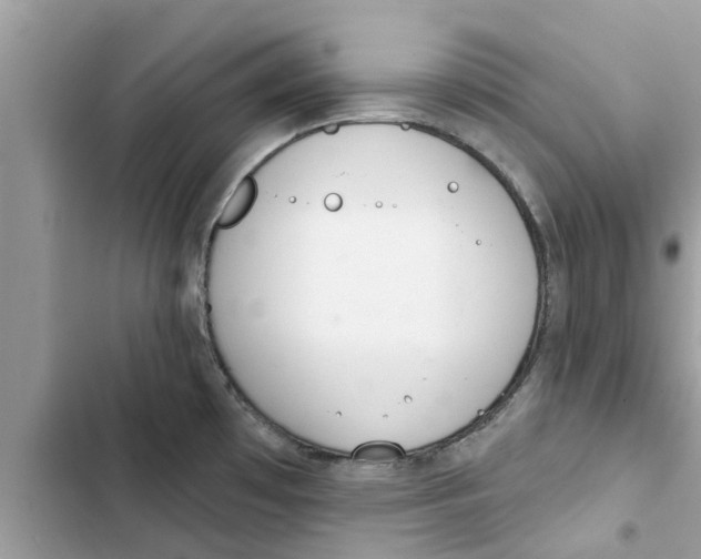 X0000103261481200809191707