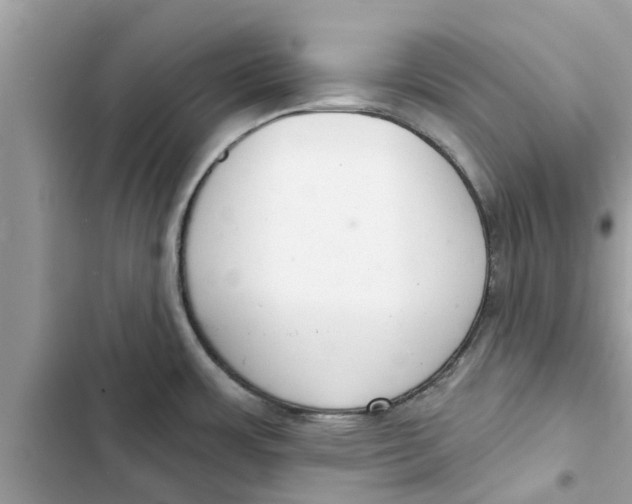 X0000103261483200809191706