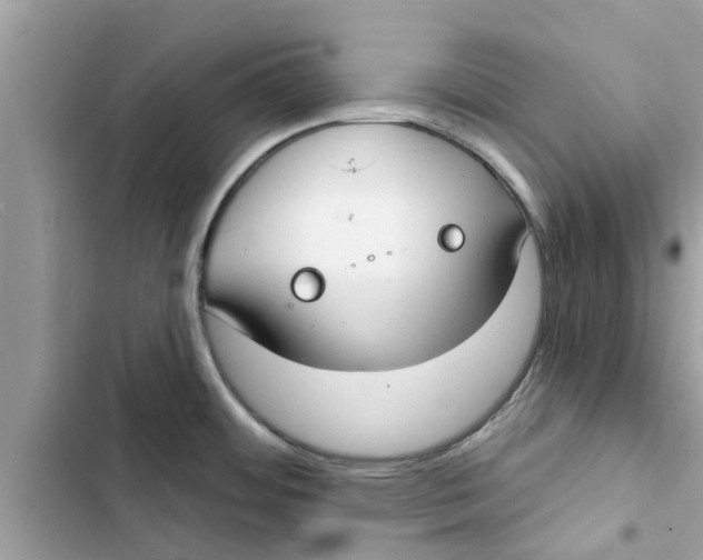 X0000103261484200809191706