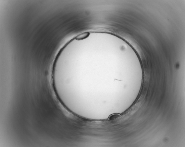 X0000103261485200809191706