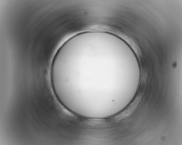 X0000103261486200809191706