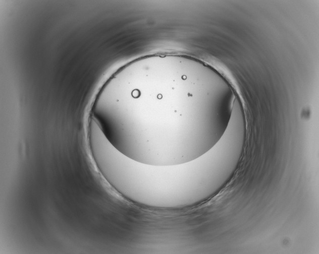 X0000103261488200809191706