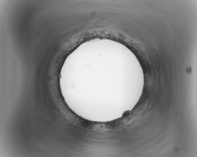 X0000103261489200809191706