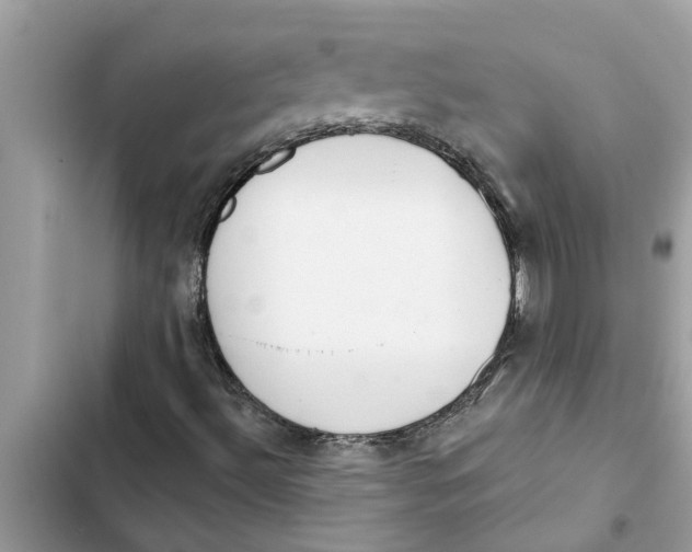 X0000103261492200809191706