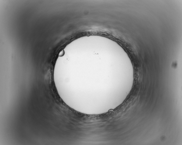 X0000103261493200809191706