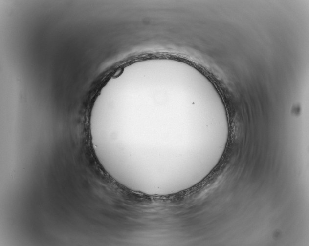 X0000103261494200809191706