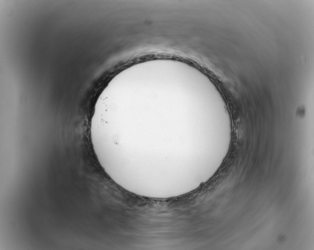 X0000103261495200809191706