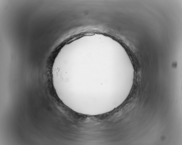 X0000103261496200809191706