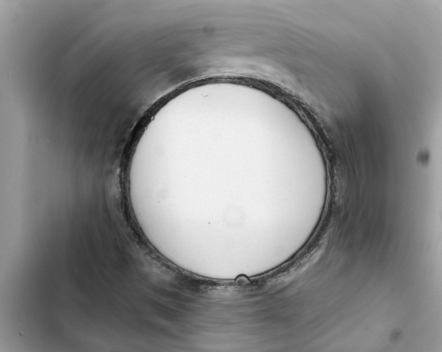 X0000103261497200809191706