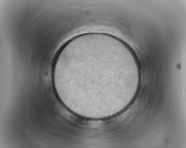 X0000103261498200809191706