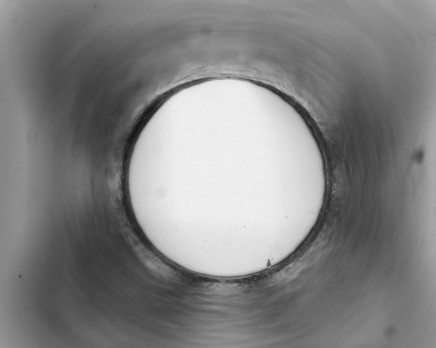 X0000103261499200809191706