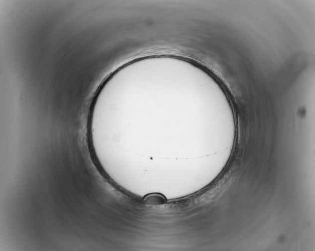 X0000103261500200809191706