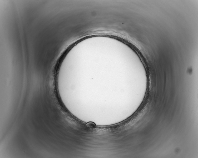 X0000103261501200809191706