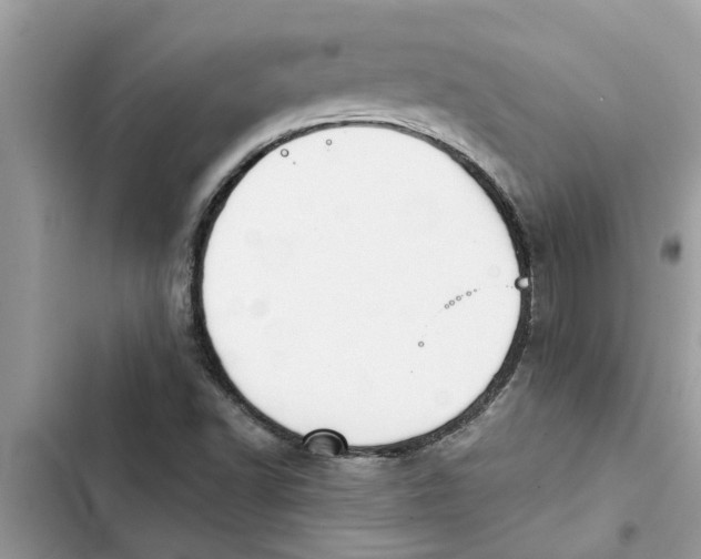 X0000103261502200809191706