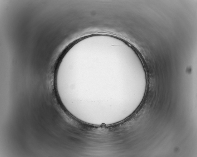 X0000103261503200809191706