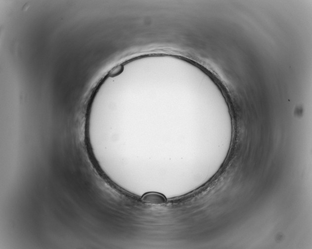 X0000103261504200809191706