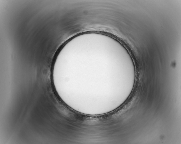 X0000103261505200809191706