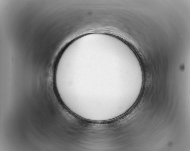 X0000103261506200809191706