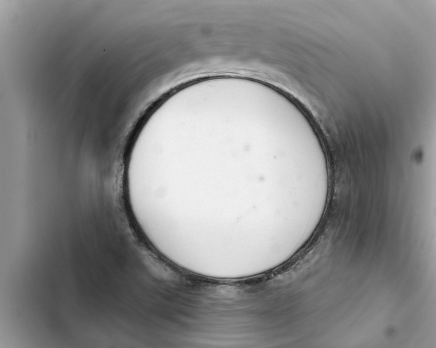 X0000103261507200809191706