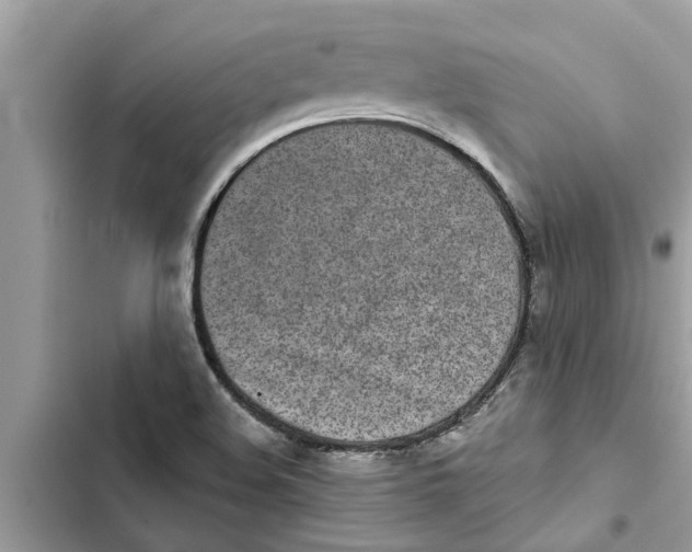 X0000103261508200809191706