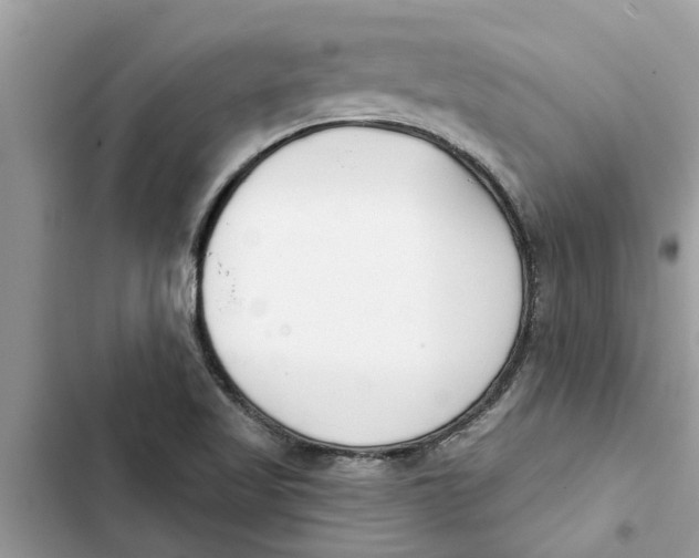 X0000103261509200809191706