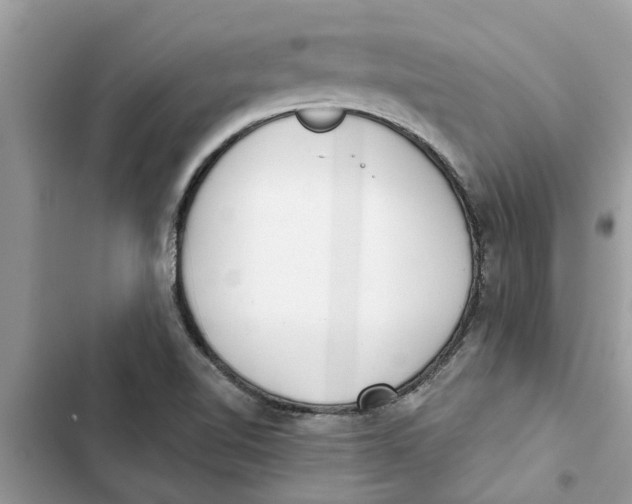 X0000103261510200809191706