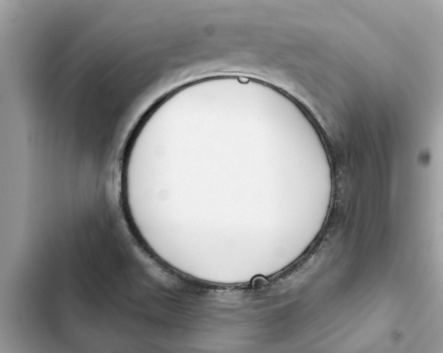 X0000103261511200809191706