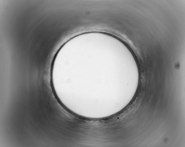 X0000103261512200809191706