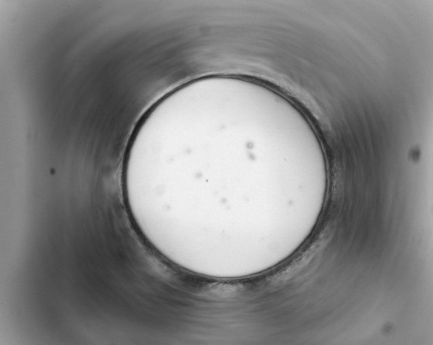 X0000103261513200809191706