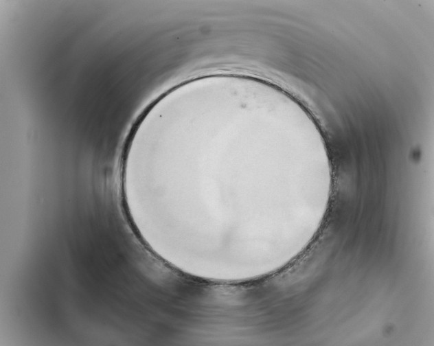 X0000103261514200809191706