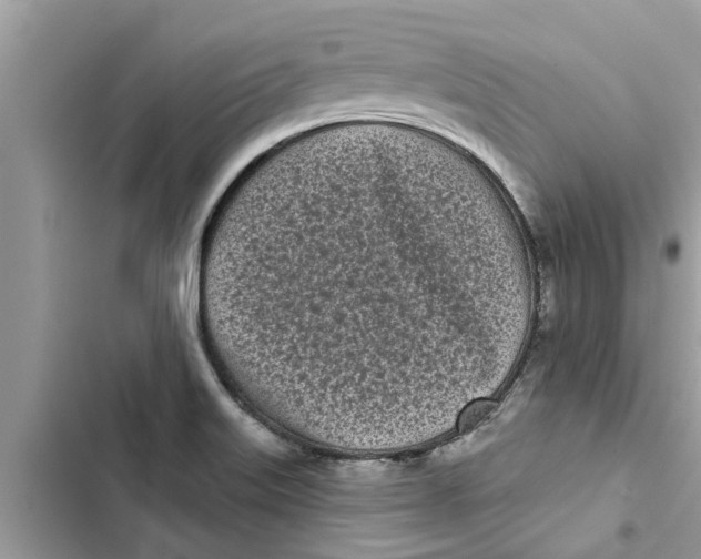 X0000103261515200809191706