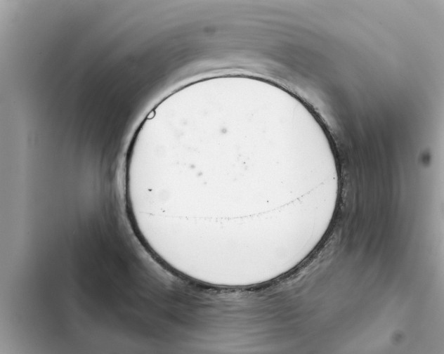 X0000103261516200809191706