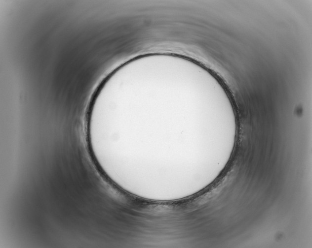 X0000103261517200809191706