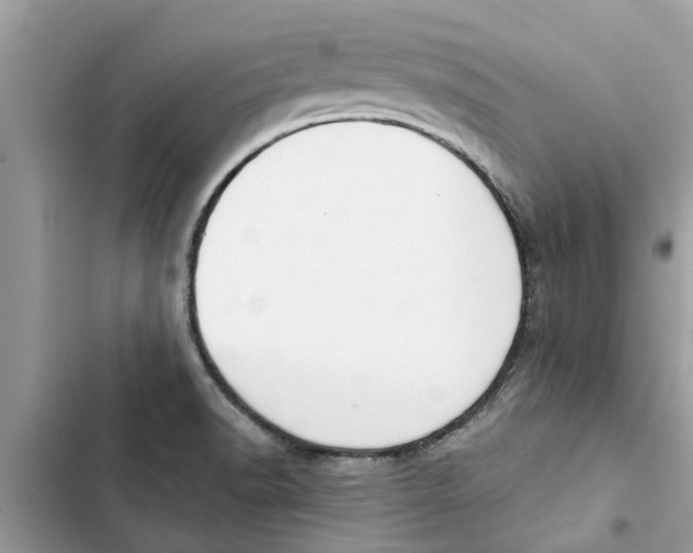 X0000103261518200809191706