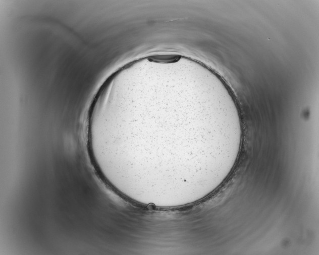 X0000103261519200809191706